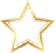 Star Icon